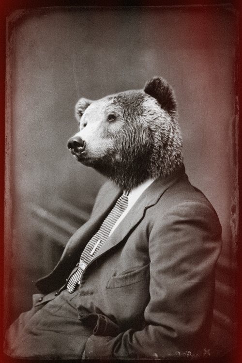 suit and tie bear