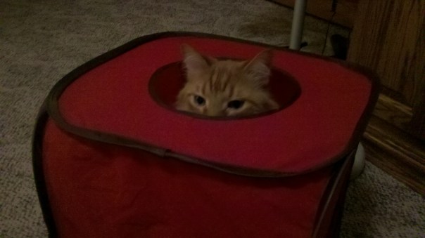 2012-03-03_23-07-47_275